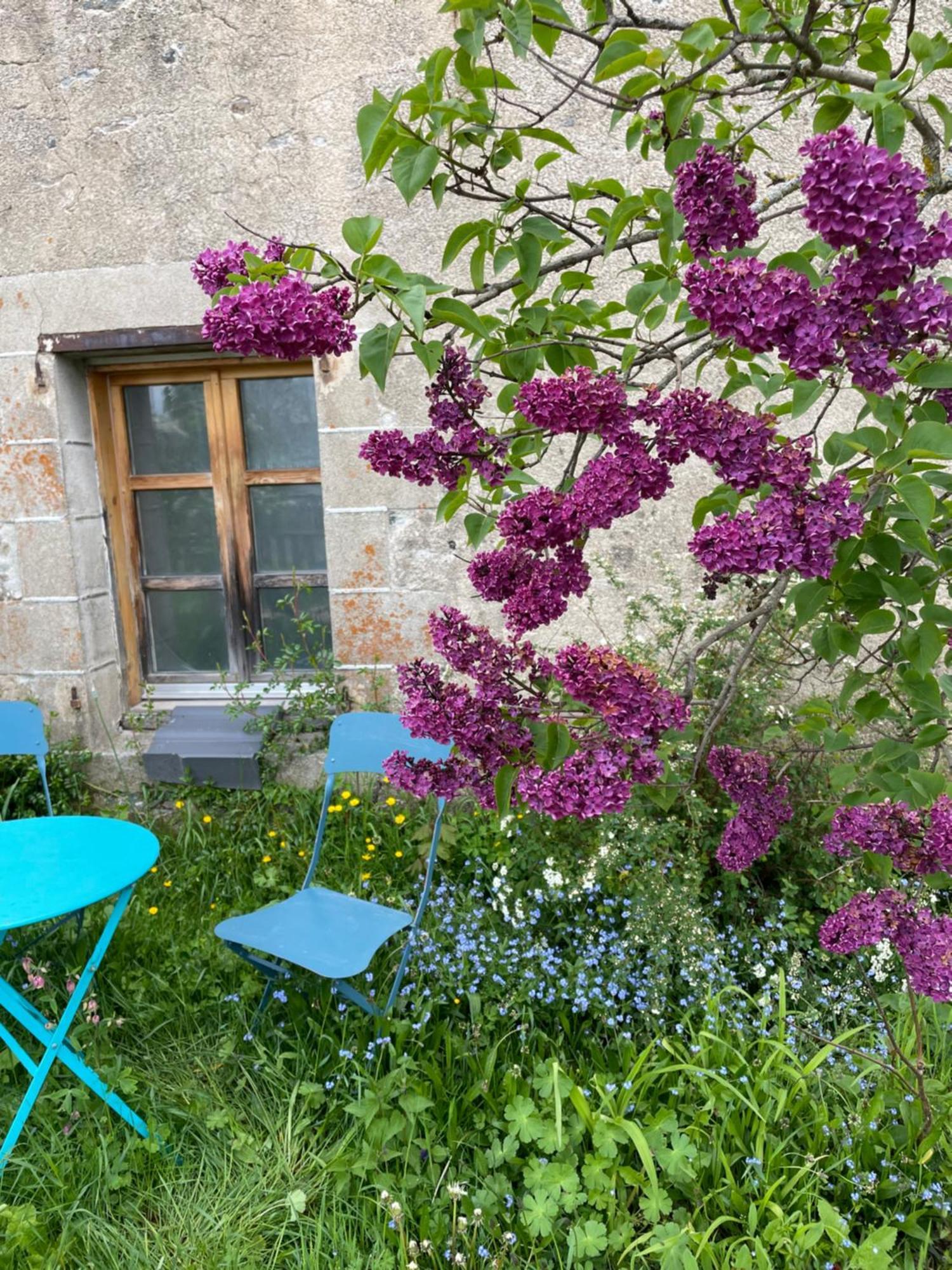 Chez Fabrice Bed & Breakfast Le Pertuis Bagian luar foto